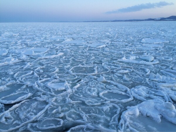 ���X�ӕX�D �K�����R���U