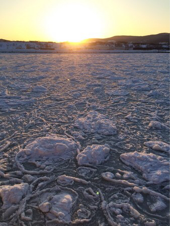 ���X�ӕX�D �K�����R���U