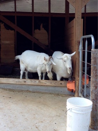 �ɍ��ۃO���[���q��