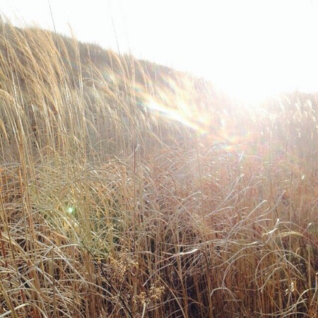 ��Ό�����