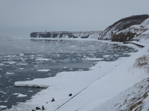 �\�斦�C��