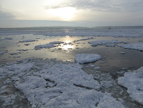 ���̉w ���X�X���ԑ�