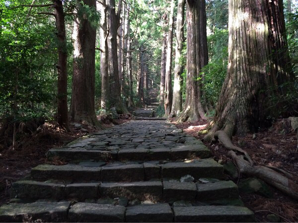 �F��Ó��@����