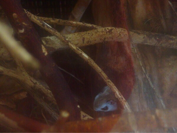 �~�R������