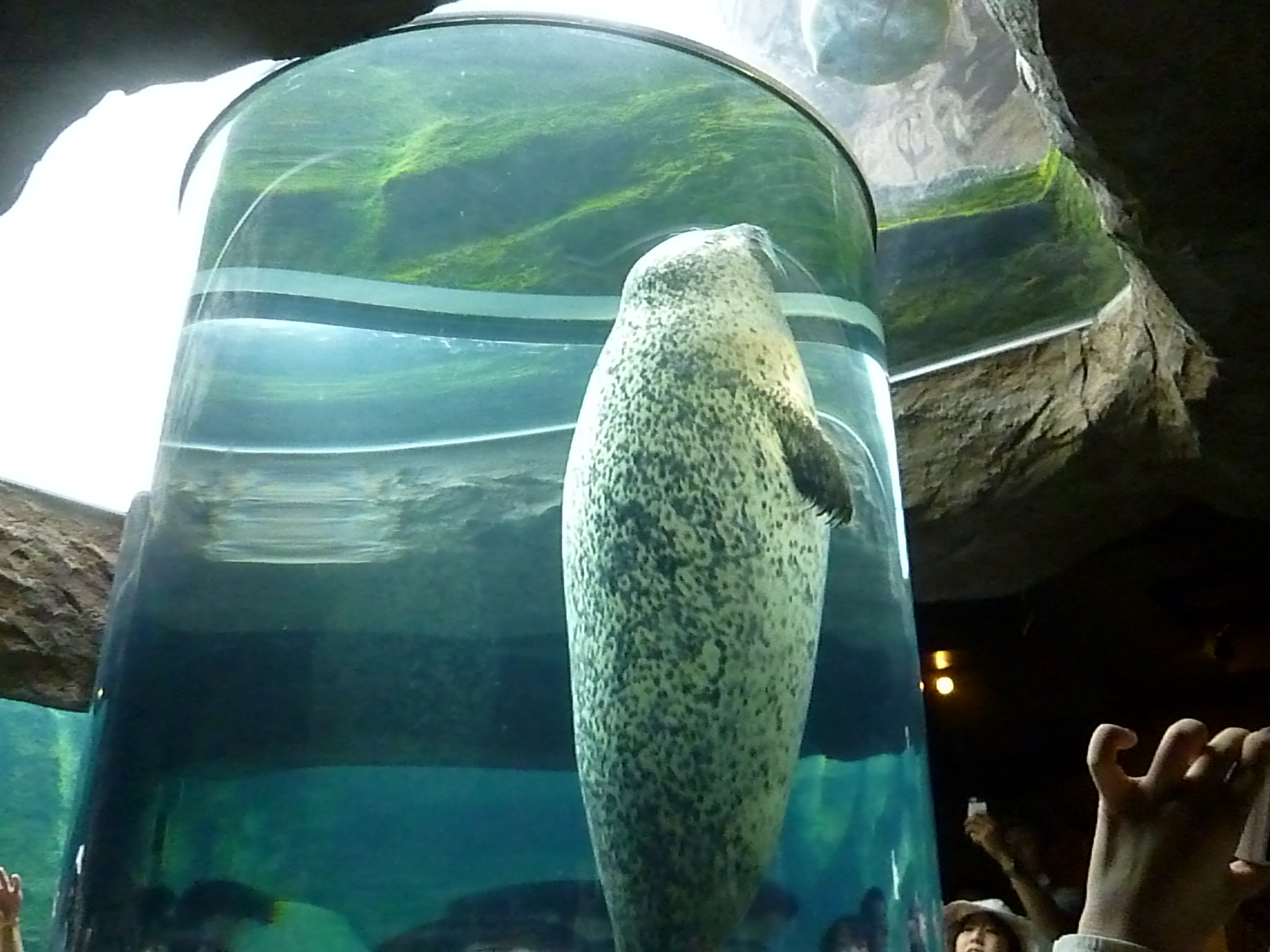 ���R������