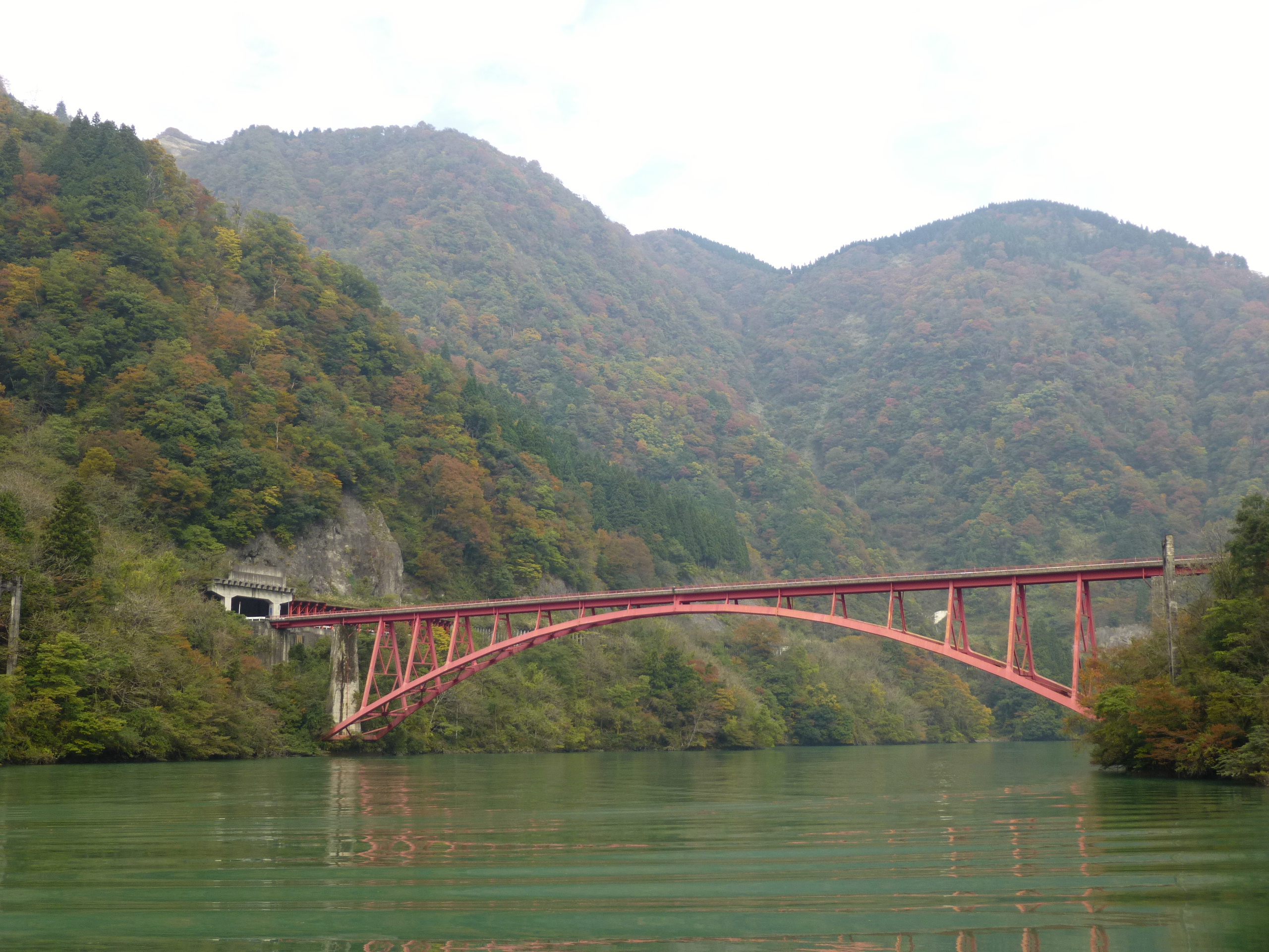 ���심�V���D