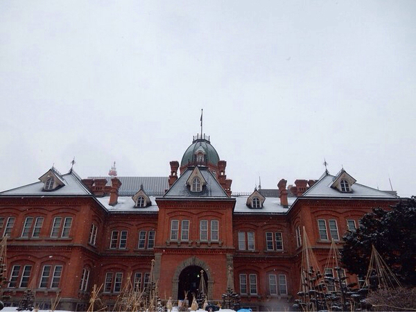 �k�C�������{����(�Ԃ�񂪒���)