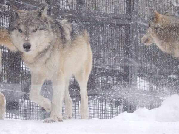 �~�R������