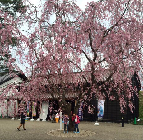 �ܗŊs�����̍�