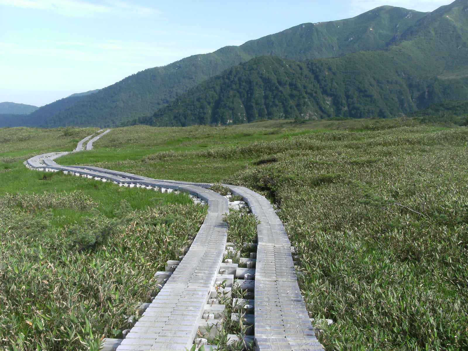 弥陀ヶ原
