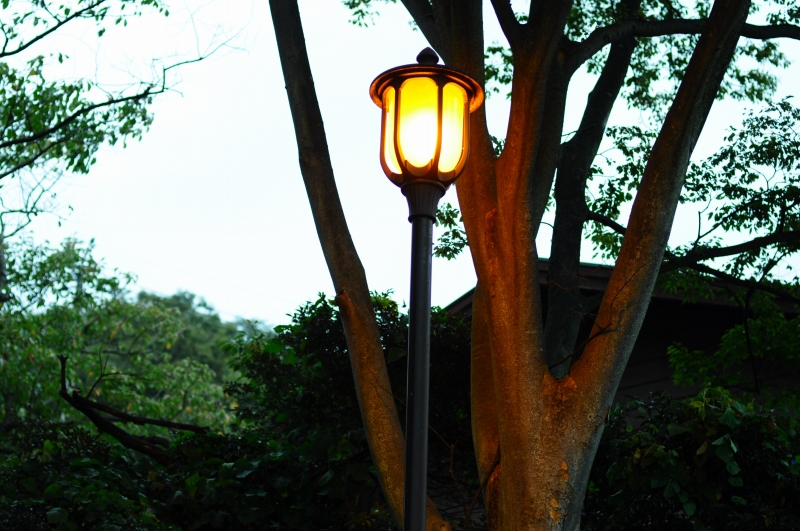 �m�[�t�H�[�N�L��