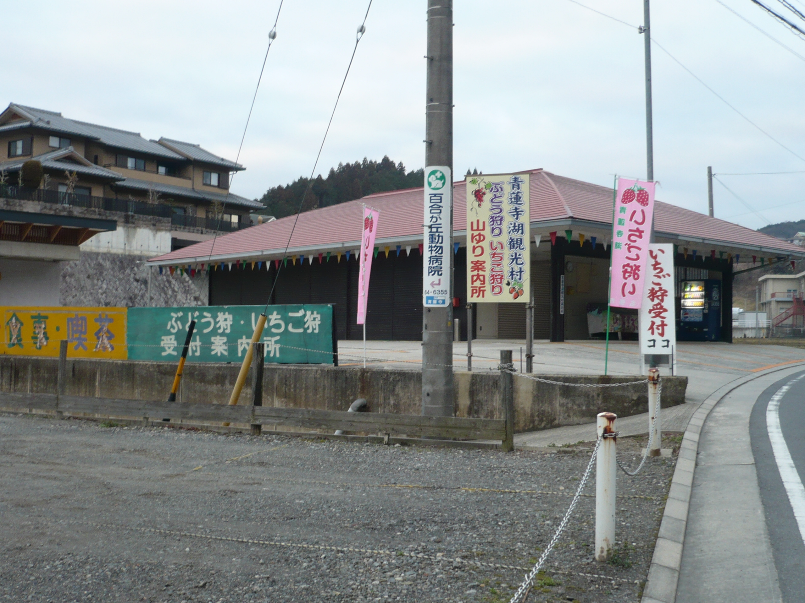 �@���΂Ԃǂ����