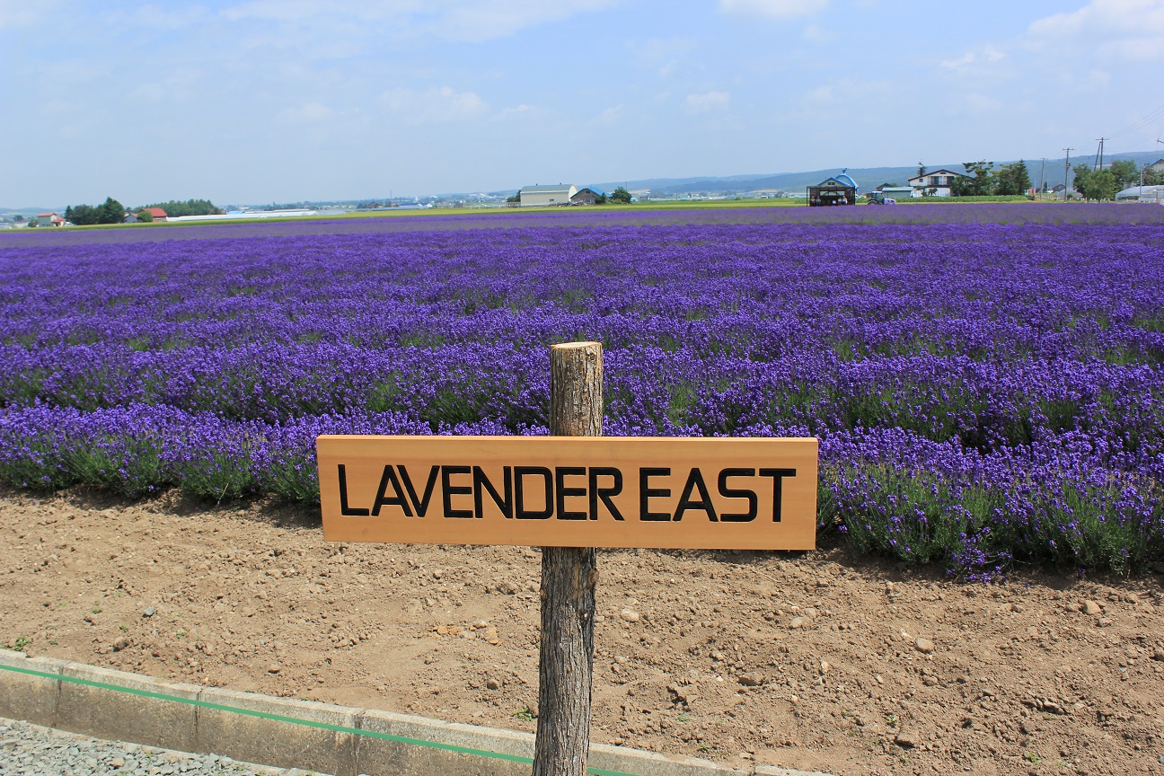 ���x���_�[��