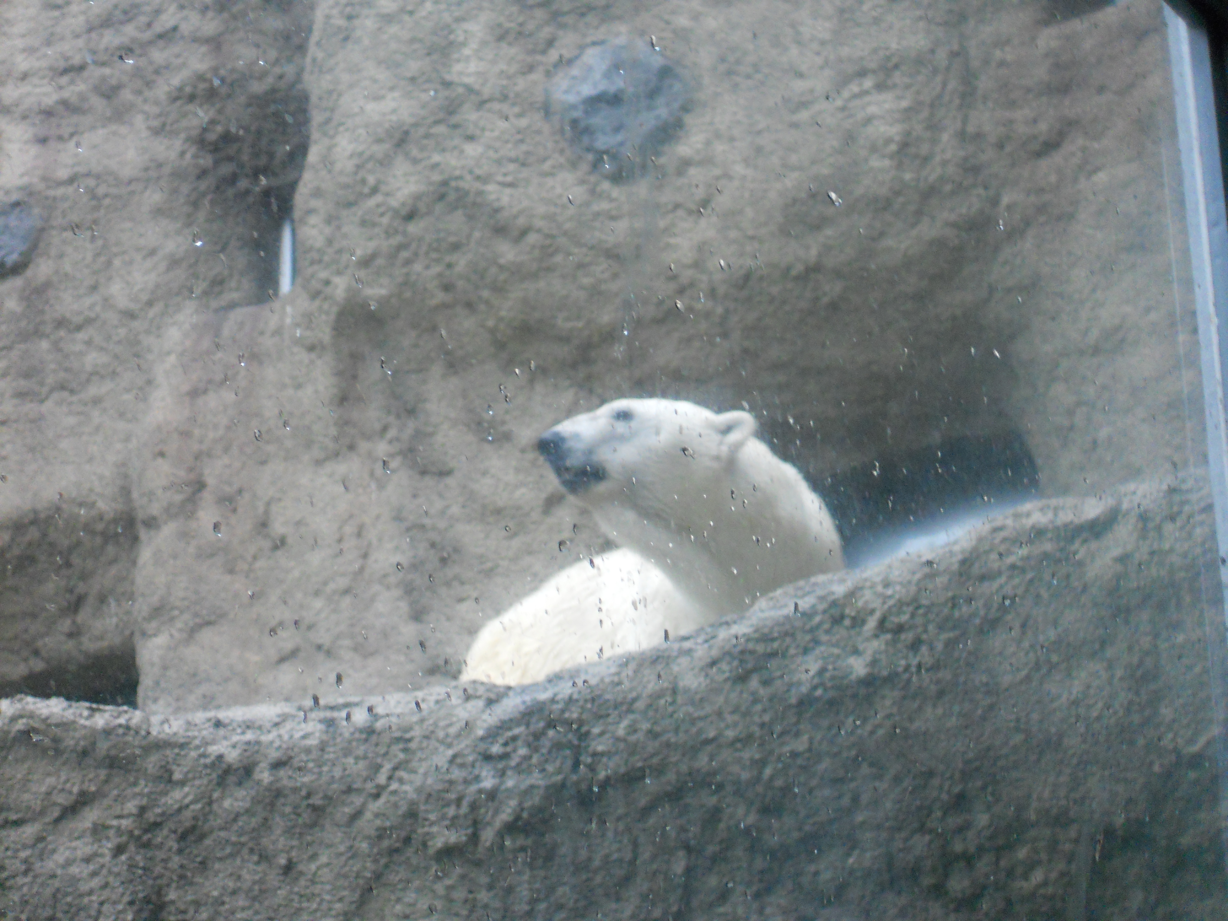 �~�R����