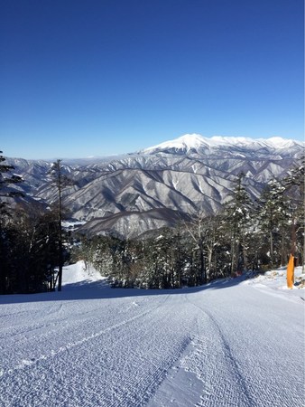 �씞���X�L�[��