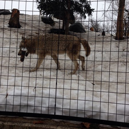 ���R������