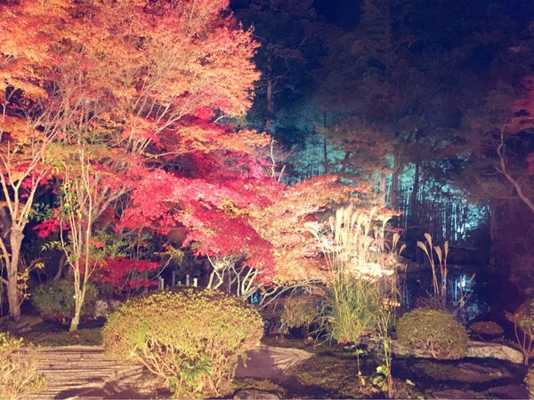 永観堂(禅林寺)