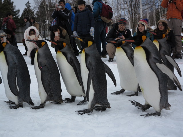 ���R������