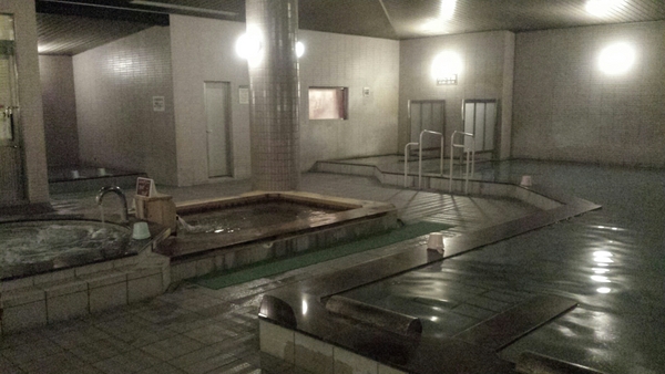 �z�e���G�s�i�[���ߐ{