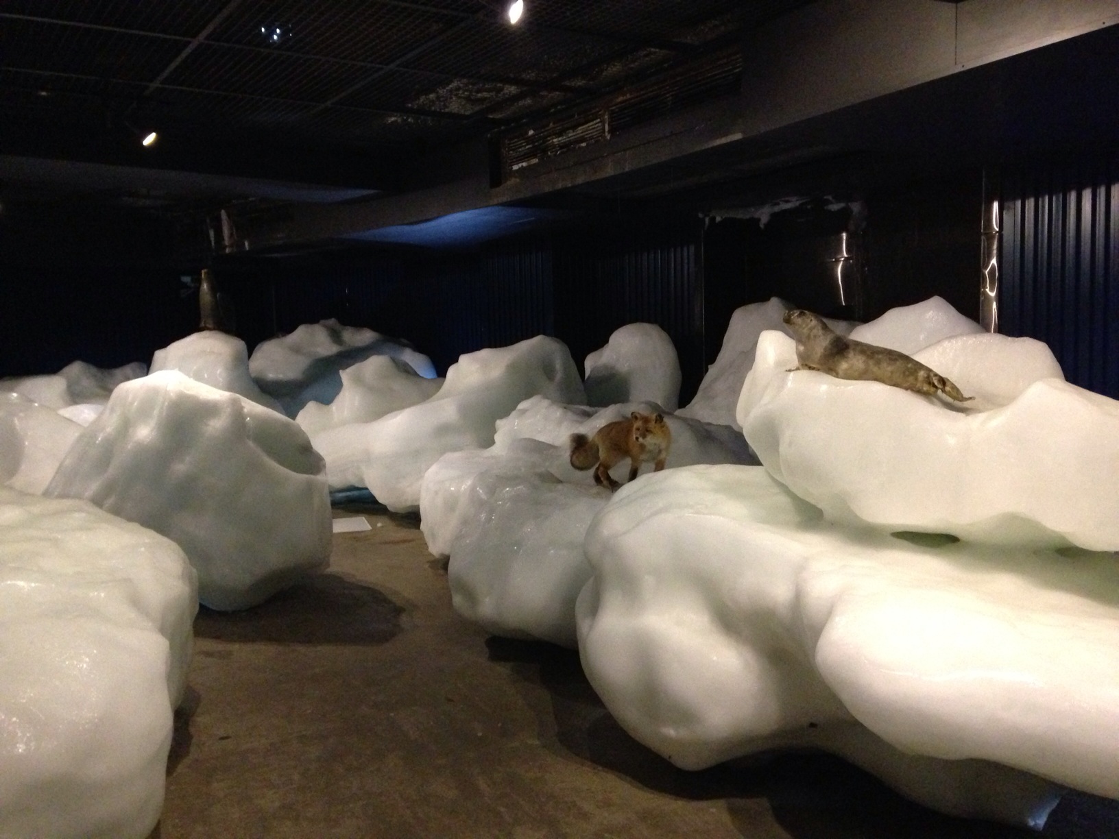 オホーツク流氷館