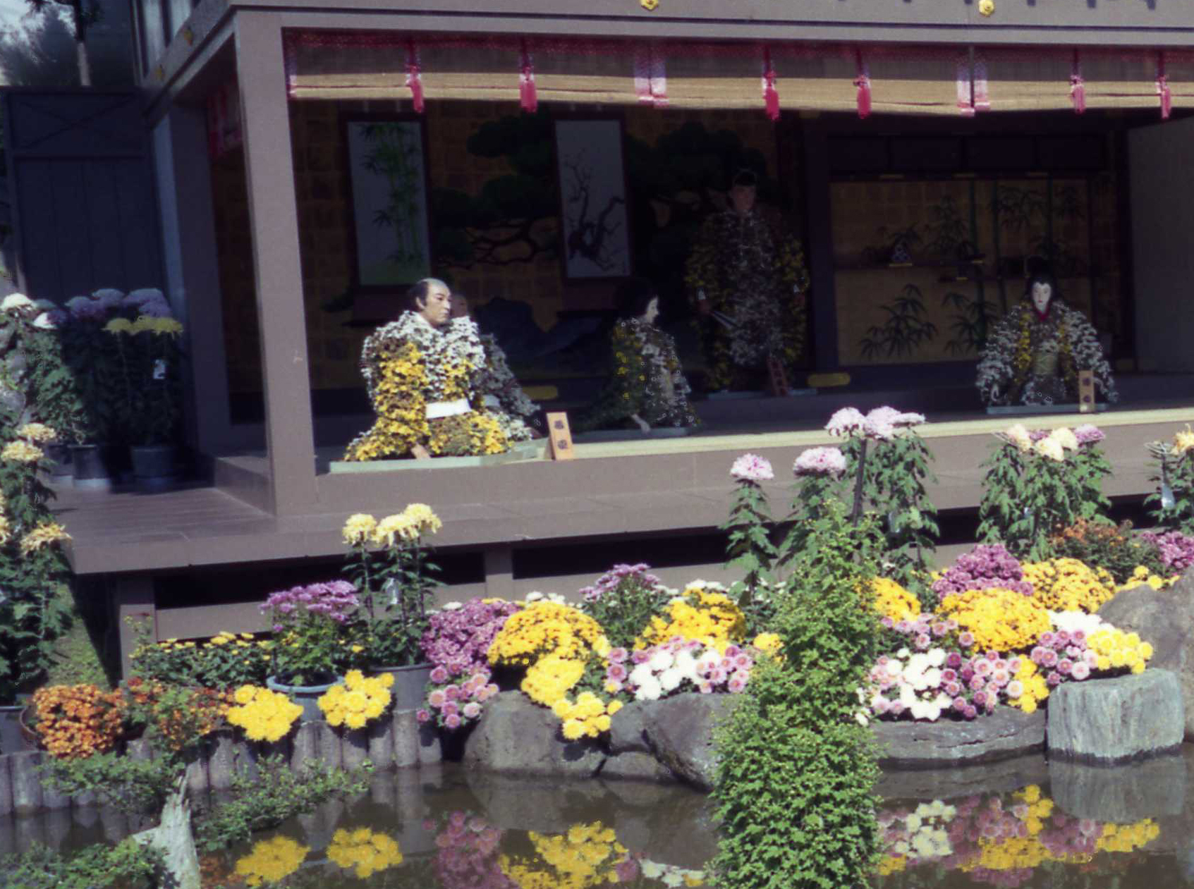 ��{���̋e�l�`