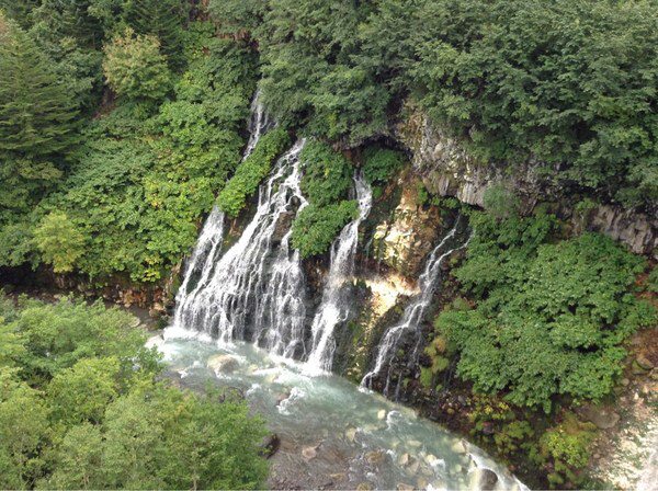 ���Ђ��̑�