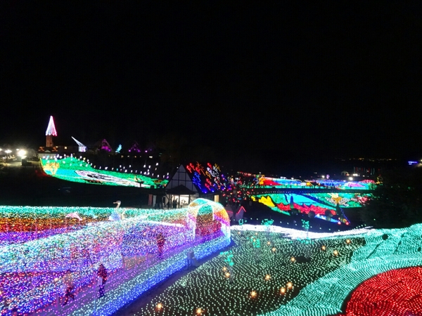 �����h�C�c��