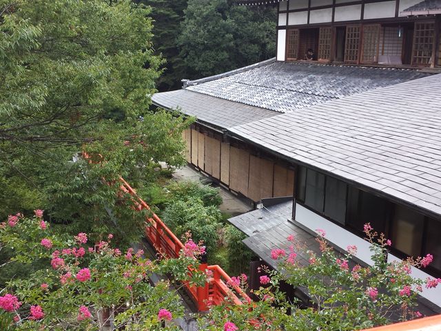 ����܉���