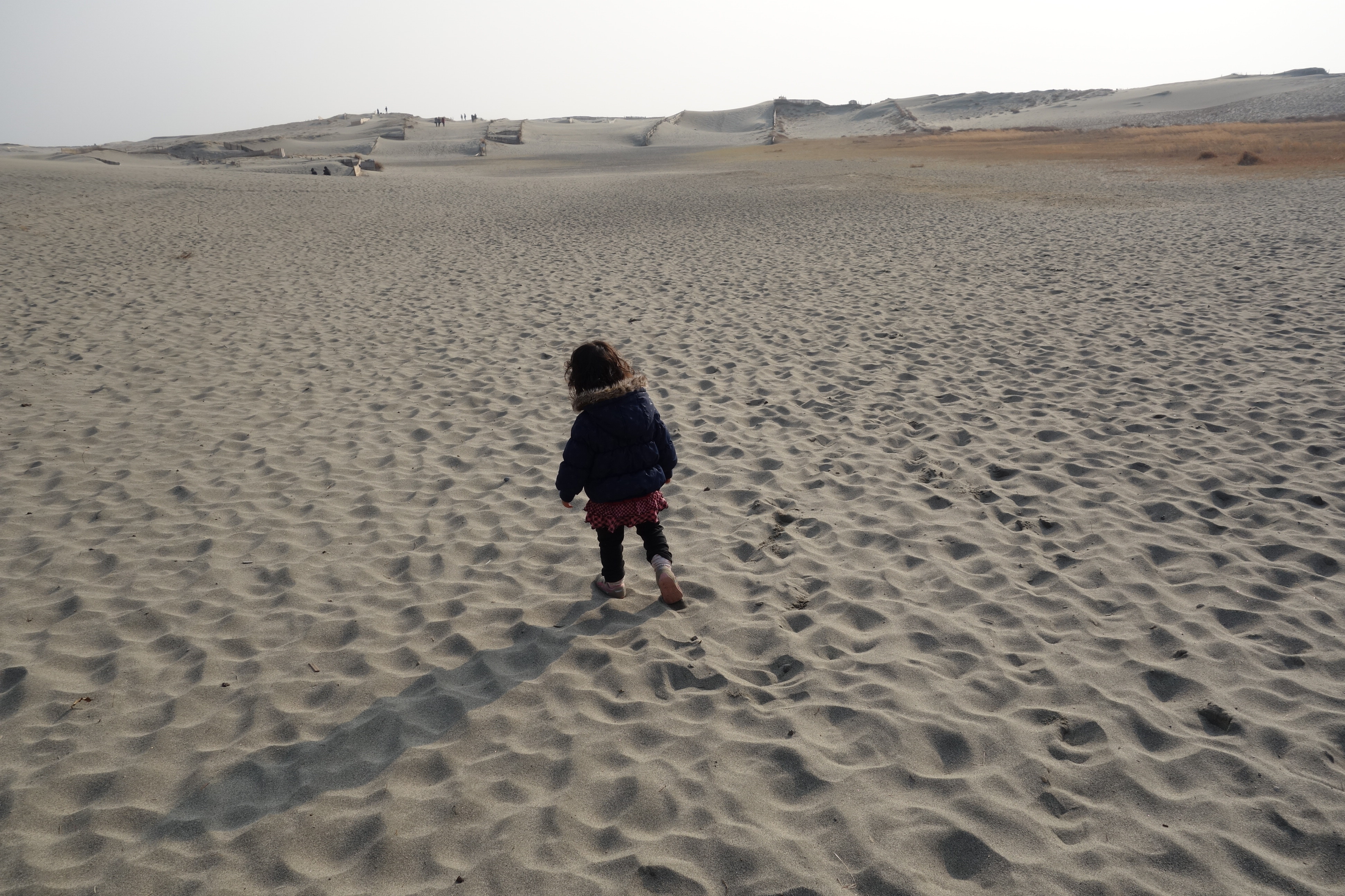 ���c�����u