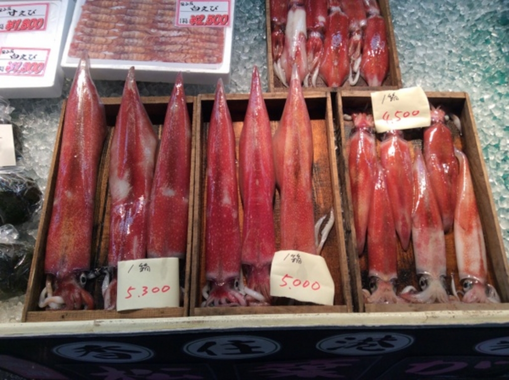 �����ݒ��s�Z���^�[