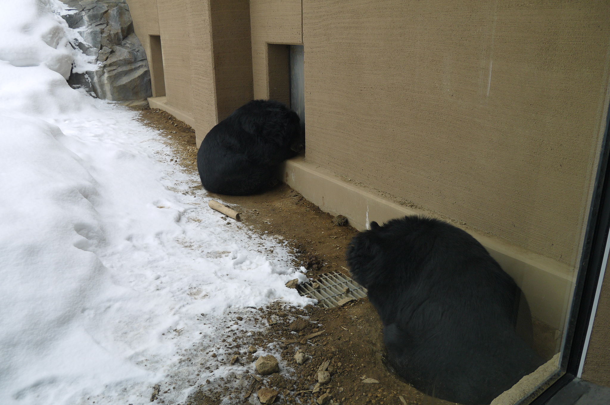 �~�R������