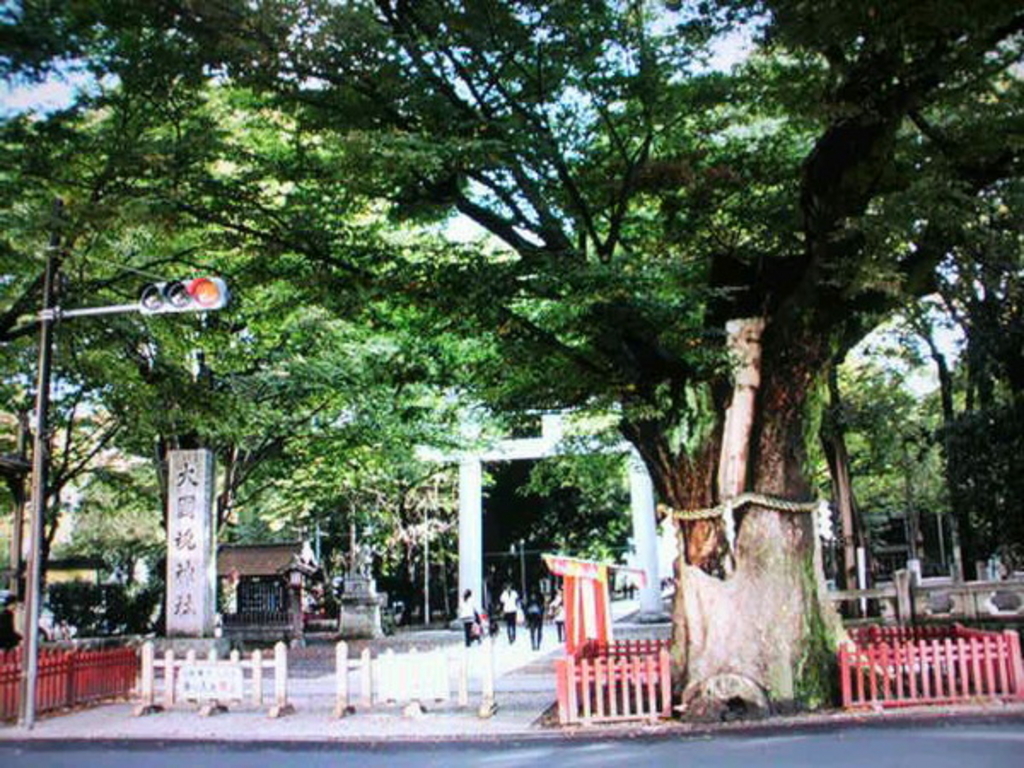 大國魂神社の写真一覧 - じゃらんnet