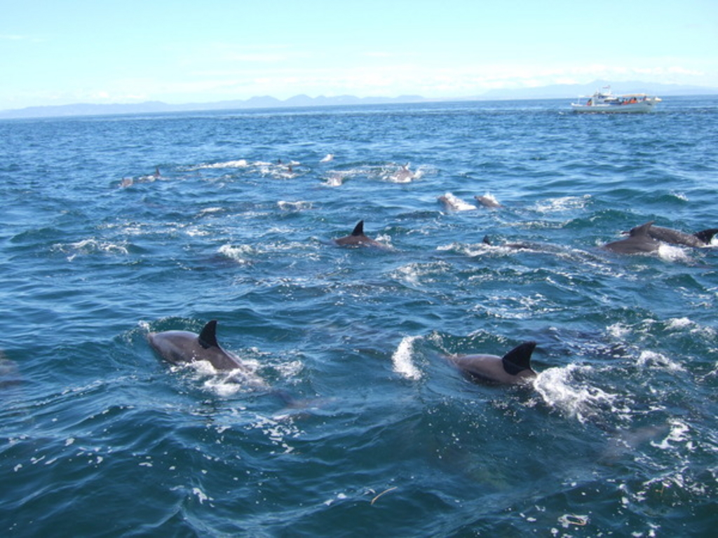 �C���J�E�H�b�`���O�i���̉w �V���s�C���J�Z���^�[�j