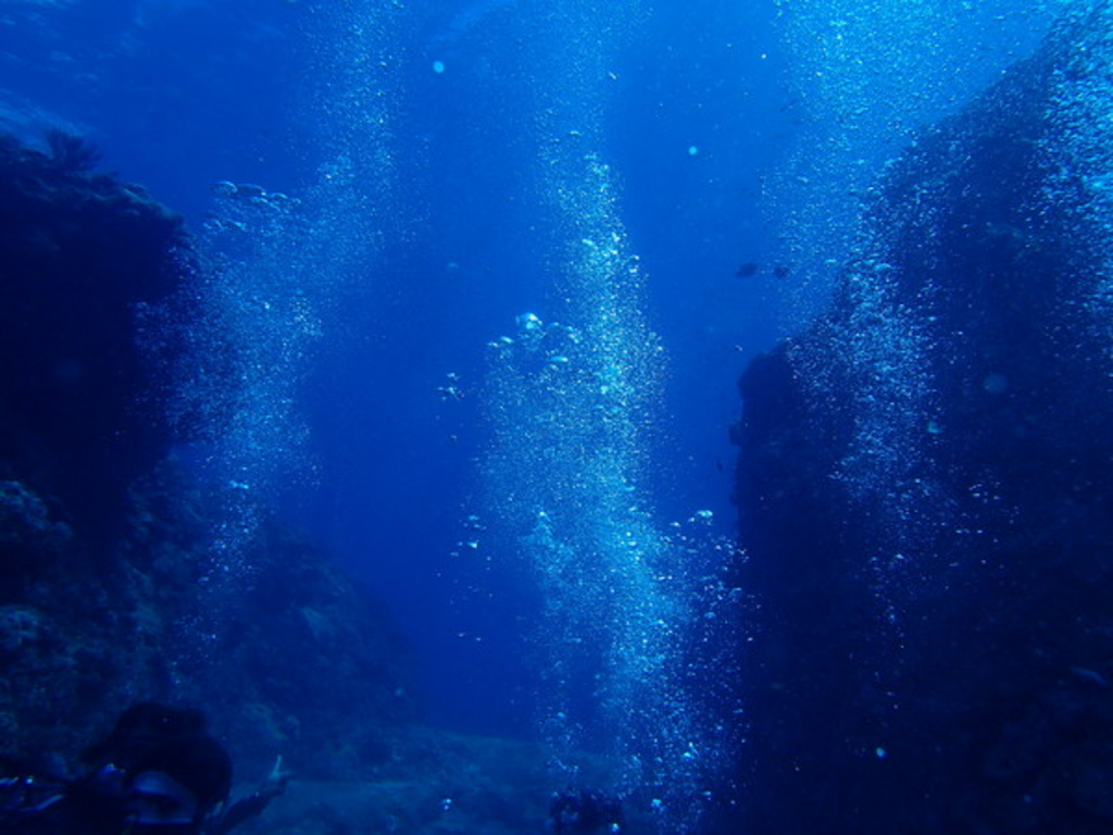 �^�ߍ��C����