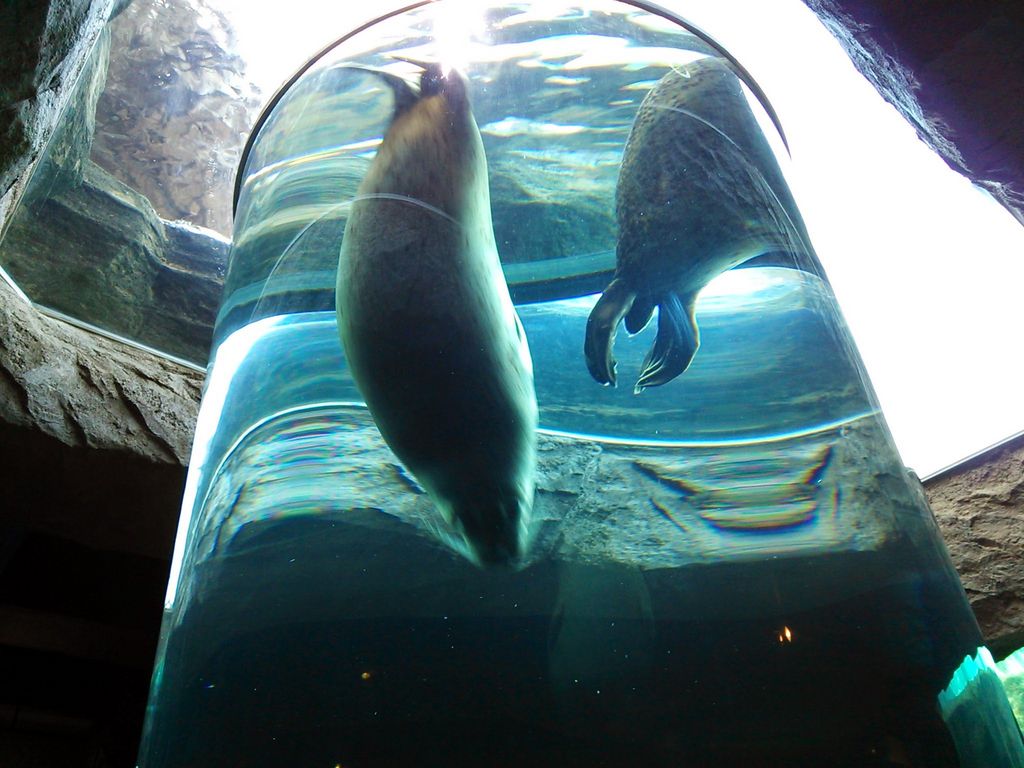 ���R������