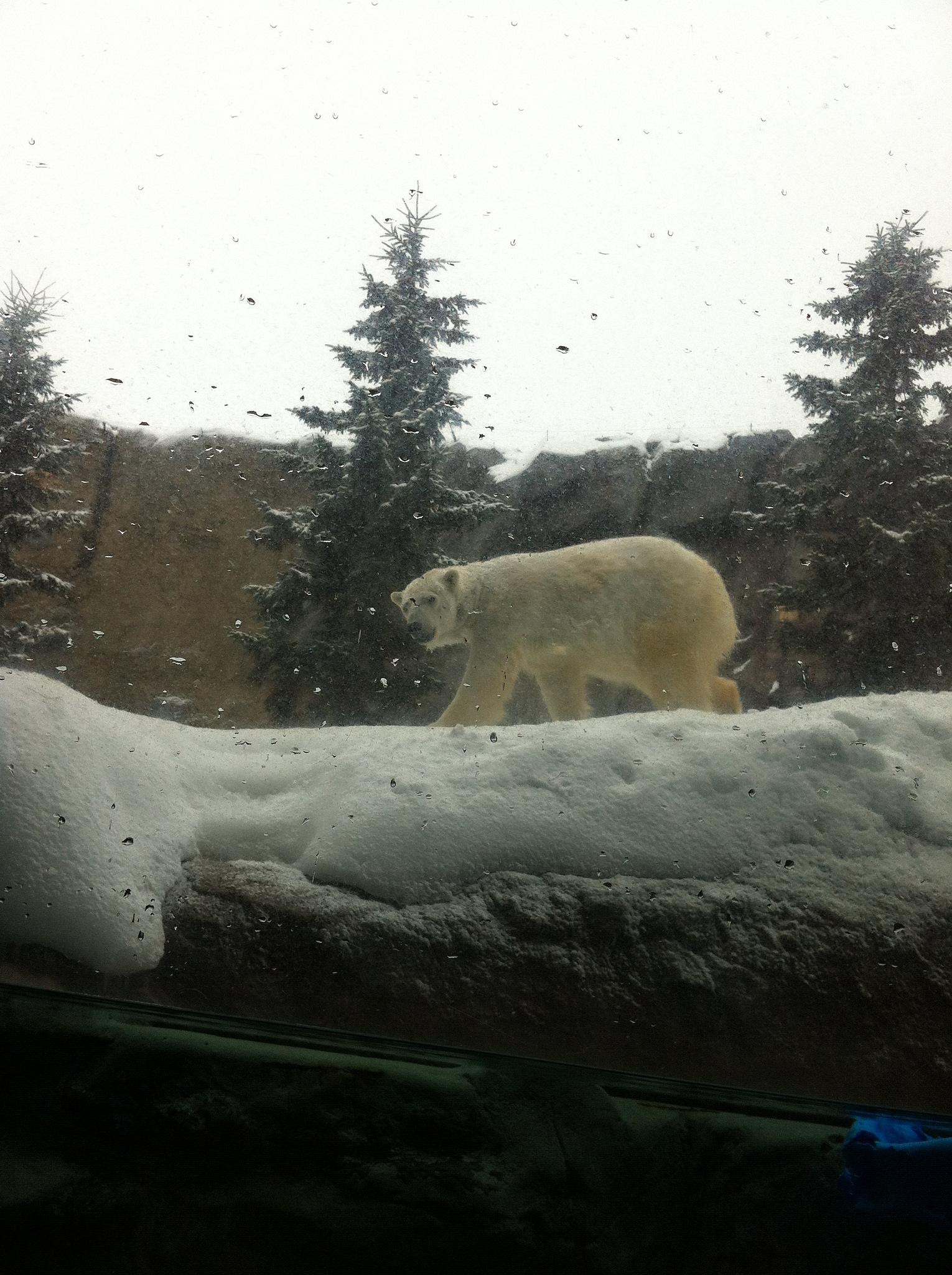 ���R������