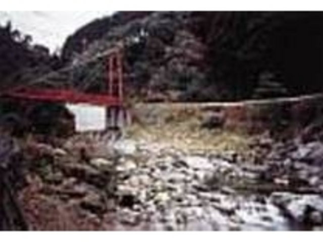 �Y���E��������