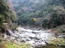 �Y���E��������