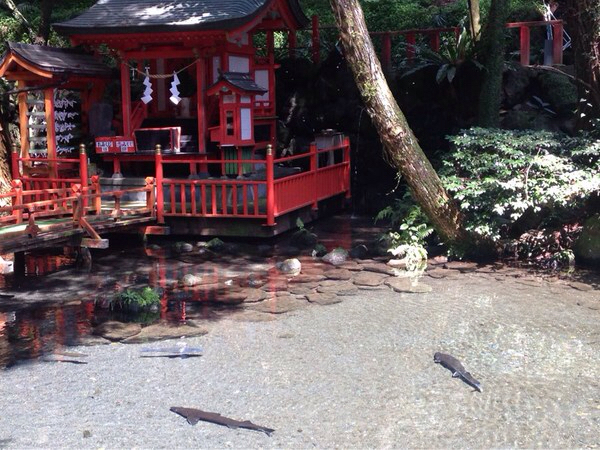 ���D������