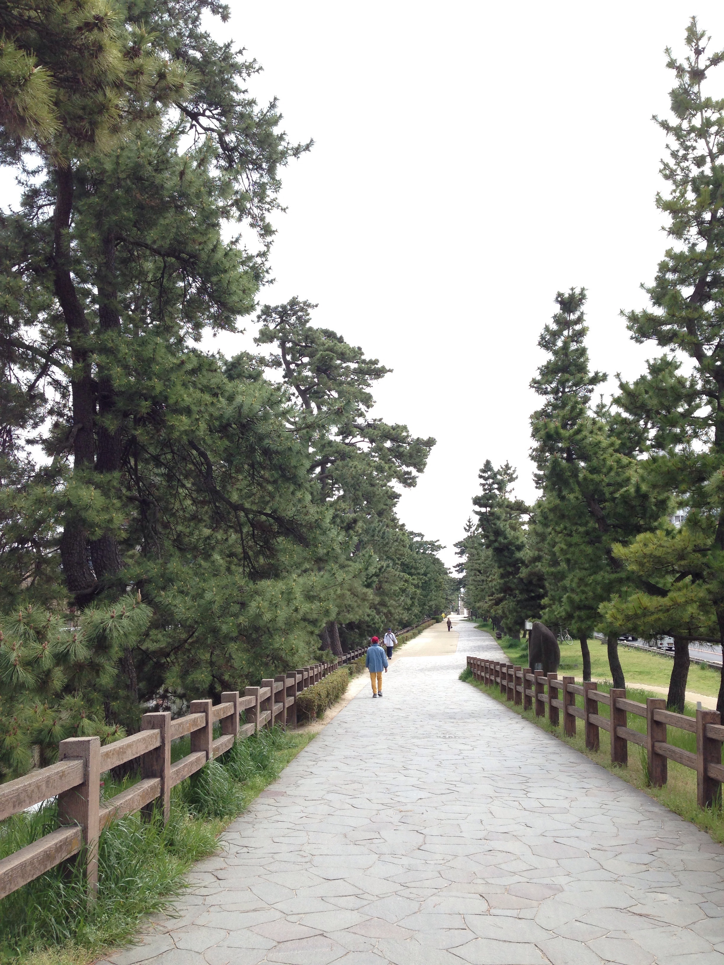 ���������V����