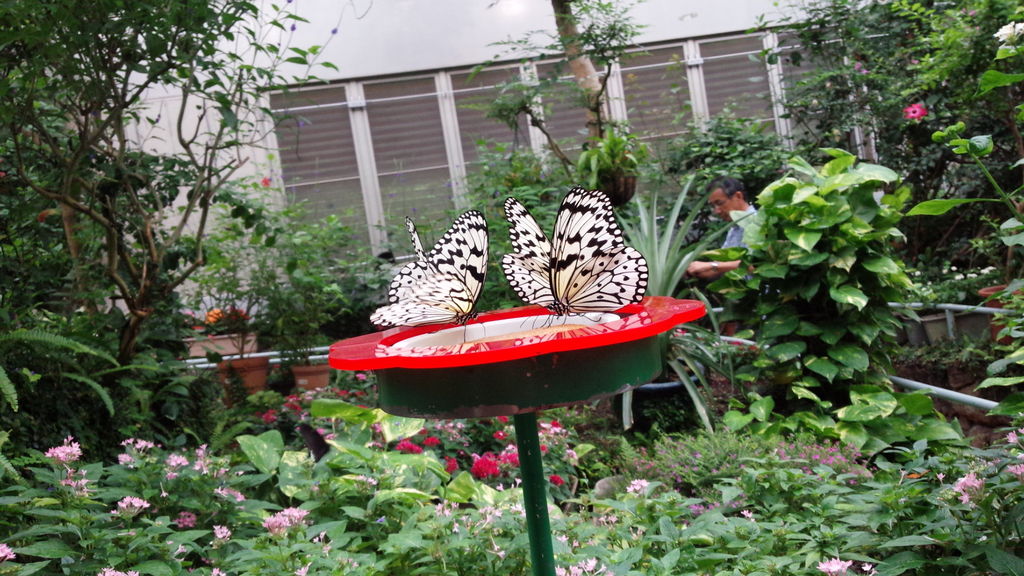石川県ふれあい昆虫館の写真一覧 じゃらんnet