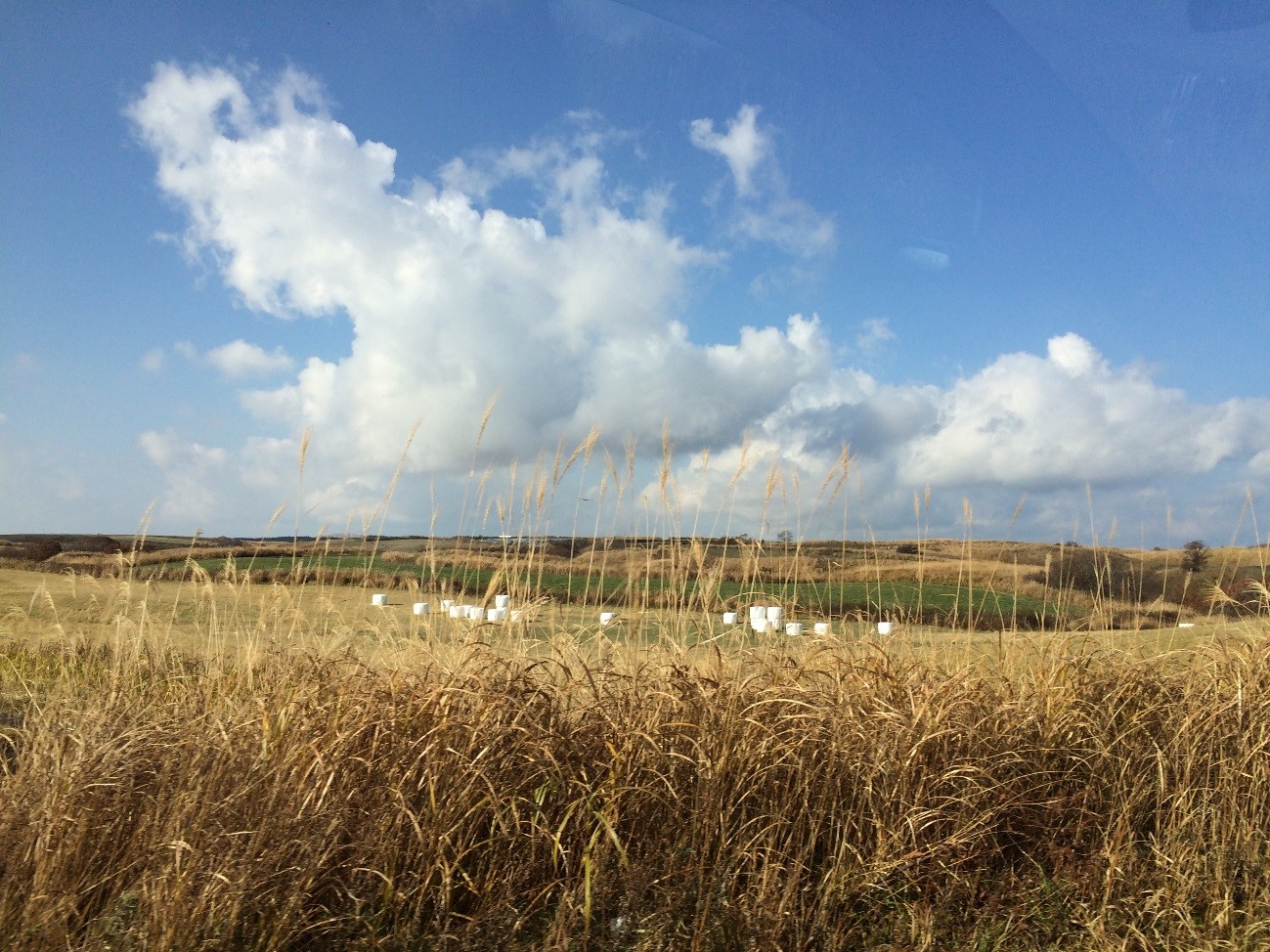 �t�@�[�����[�hWAITA