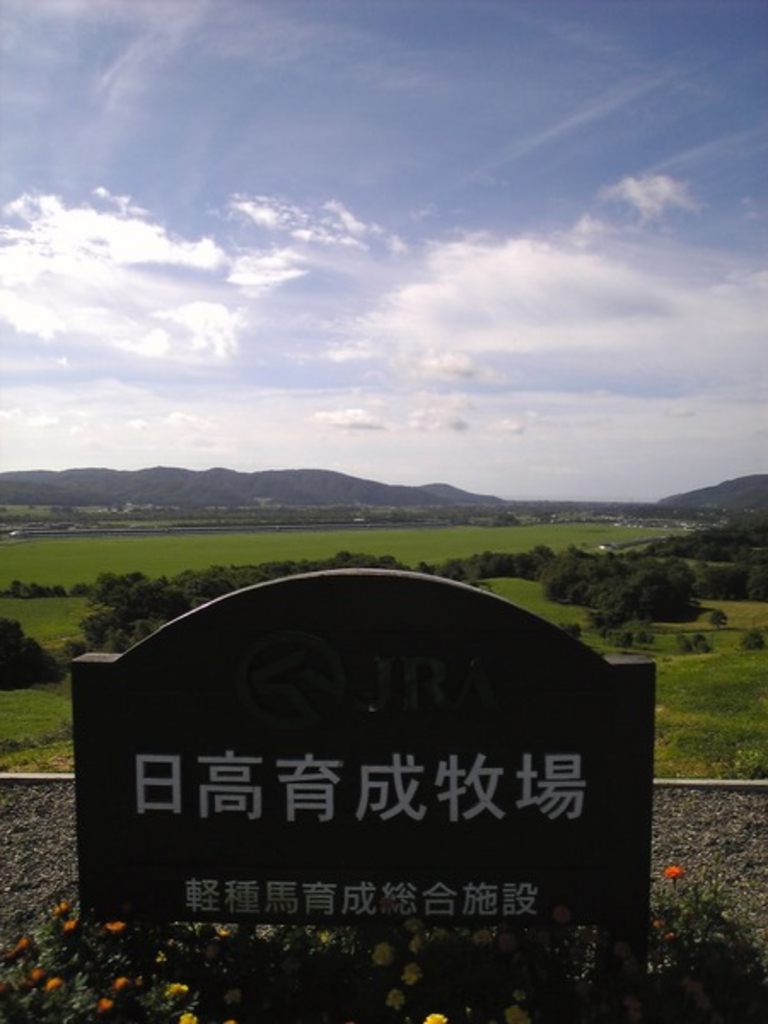 JRA�����琬�q��