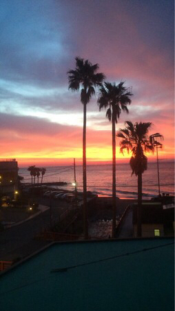 �M��YOU���r�[�`