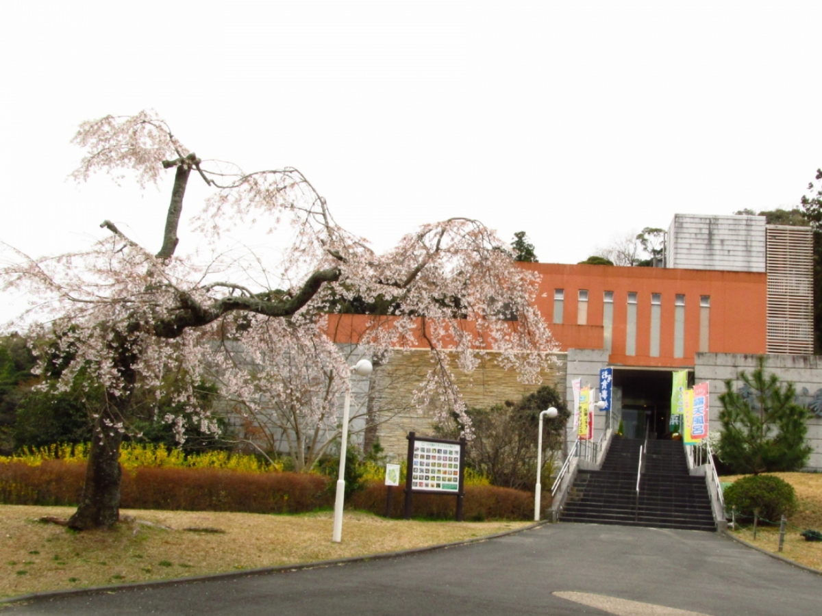 �|��ܗ�����u�X�т̓��v�i�ܗ����]�[�g�ʂ̋����j