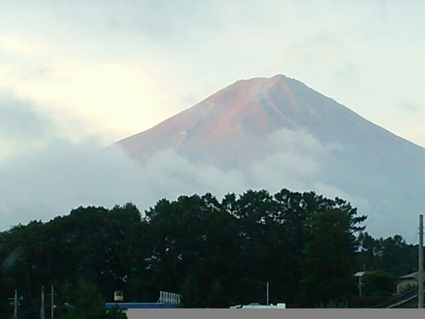 ���R�H�[�΂����