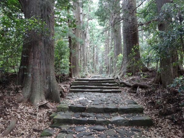 �F��Ó��@����