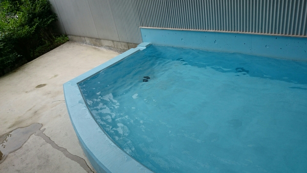 �x���I�V���C