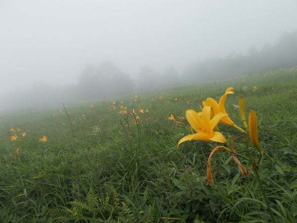 �����s���~�����L�X�Q�����n�@���~�������X�g�n�E�X