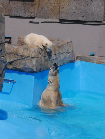 �~�R������